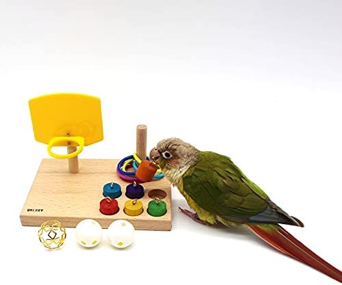 QBLEEV Bird Basketball Toy, Parrot Activity & Foraging Training Toys Set