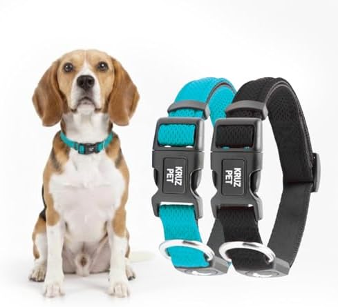 Dog Collar Bundle |Black Large Dogs (Width- 1.25" Neck - 18"-26") & Medium Turquoise (Width- 3/4" Length 17"-21.5") | Adjustable Padded Collars with Heavy Duty O-Ring | Soft & Comfortable Fit
