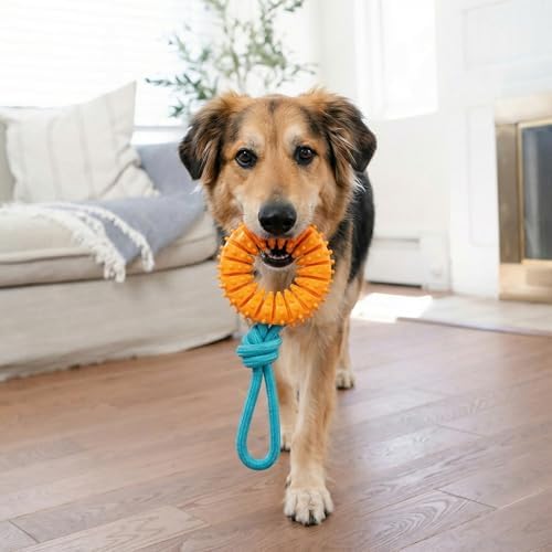 Dental Chew Wheel Durable Dog Toy, Tug & Chew, Mint Scent, 9.6"