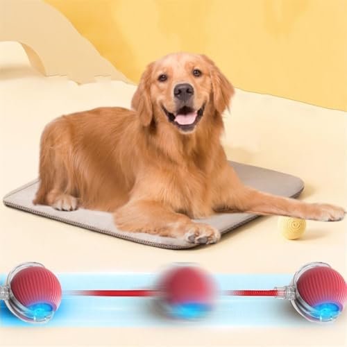 Interactive Pet Toy Ball, 2025 New Interactive Rolling Dog Ball, for Bored Indoor Cats, Automatic Rotating Rolling Balls