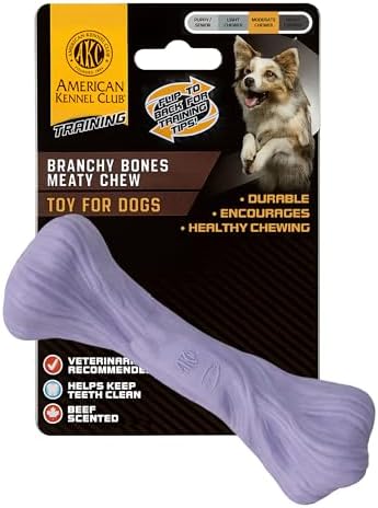 American Kennel Club Training Dog Chew Toy, Large PP Bone Dog Toy, Durable Dog Toy for Moderate Chewers, Beef Scented for Long-Lasting Engagement, Supports Dental Health, Purple