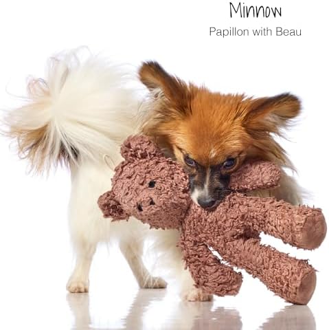 Pet Passion Plush Durable Cotton Dog Toys with Coconut Fill for All Pet Breeds, Bear, One Size