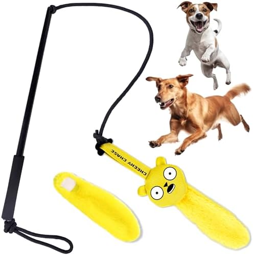 Race&Herd Cheeky Chase Flirt Pole for Dogs Heavy Duty - Catch Rod for Pet Fishing Toy, Tug of War Dog Toy for Aggressive Chewers, Dog Rope Toys for Medium Dogs