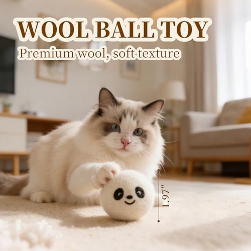 Cat Toys for Indoor Cats, a Set of 25 Interactive cat Toys, Including Colorful Springs, Squeaky Balls, Rainbow Balls, Feather Bouncy Balls, Bell Balls, and Many Other Kitten Toys.