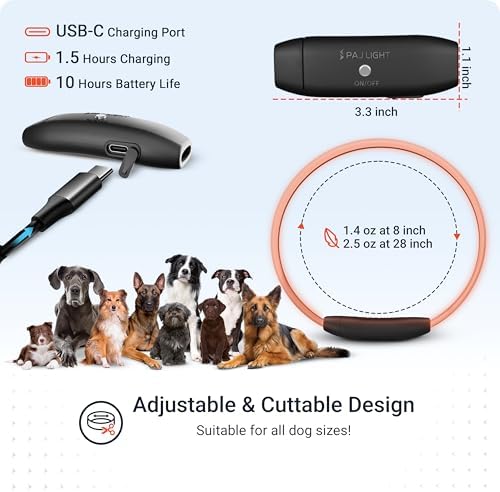 4G Dog GPS Tracker with Real-Time Location, Runaway Alerts, Activity Monitoring App, Waterproof Design & Rechargeable LED Dog Collar with 7 Color Modes, 27-Month Subscription Included – Grey Bundle