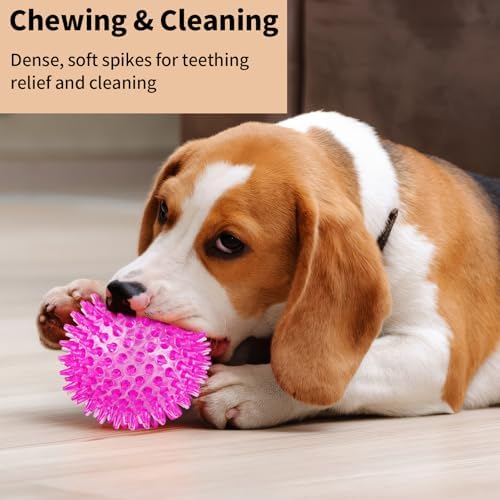 6 Pack Squeaky Spiky Dog Balls, Puppy Chew Toys for Teething, Medium