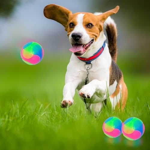 2 pcs Large Light Up Dog Balls Flashing Elastic Ball Bouncy Glow in The Dark Interactive Jumping Blinking Dog Ball Pet Toys for Golden Retriever,Labrador,Large Dogs