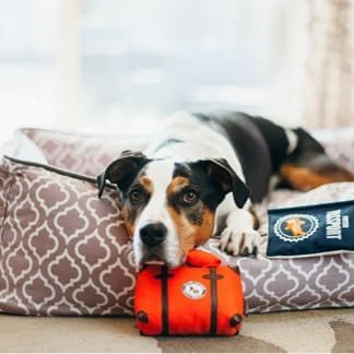 P.L.A.Y. Cute Plush Dog Toys - Globetrotter, Travel Themed Durable Squeaker Chew Toy, Great for Puppies & Small, Medium, Large Dog Breeds - Machine Washable, Recycled Materials (Pack & Snack Suitcase)