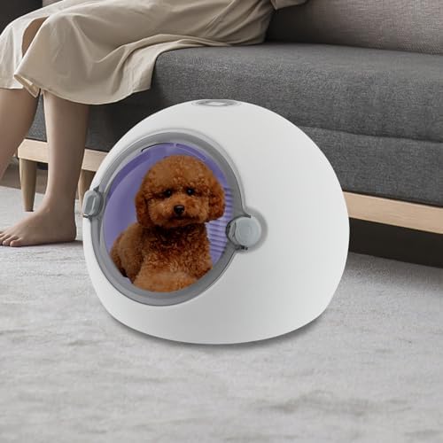 Pet Dryer Box, Fans Blower, Electric Hair Dryer for Small Dogs and Cats, Safety Door Lock, LCD Control Panel, with Smart Temperature Control, for Pet Shops, Households, Pet Relief Stations
