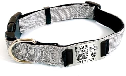 MYLUCKYTAG QR Code Dog Collar Stainless Steel Slide-On ID Tag, Laser Engraved Smart Pet Collar, Free Online Profile & Scan Alerts