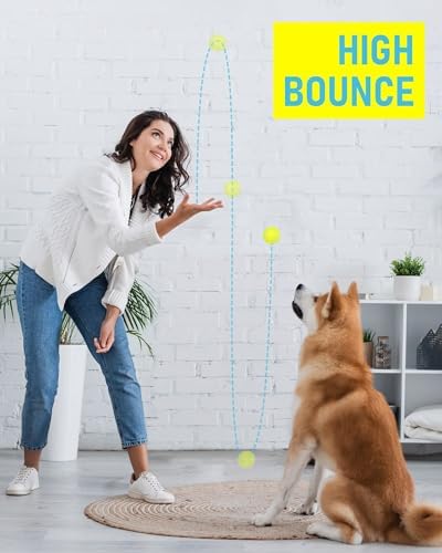 Prime Pets Tennis Balls for Dogs 3 Pack 2.5”, Durable Non-Squeaky Dog Balls with High Bounce, Interactive Fetch and Training Dog Toys for Outdoor Play, Ideal for Small and Medium Breeds