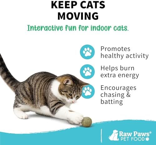 Raw Paws Catnip Balls for Cats (6-Count) - Interactive Indoor Cat Toy