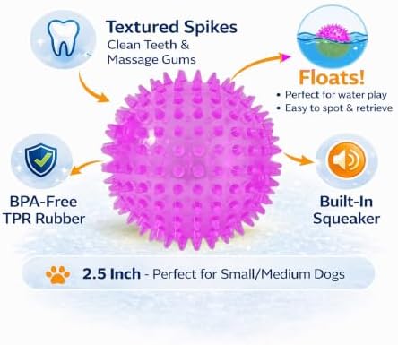 Squeaky Spiky Dog Balls for Teeth Cleaning & Gum Massage 2.5 Inch Small Medium Dogs Purple | Spiny TPR Rubber Chew Toys for Fetch Play Interactive Bouncy Dental Balls BPA Free Nontoxic Floats - 3 Pack