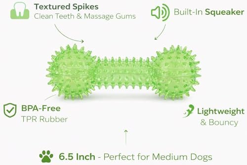 Squeaky Spiky Dog Barbell Toy for Teeth Cleaning & Gum Massage 6.3 Inch Medium Large Dogs Green | Spiny TPR Rubber Chew Toy for Fetch Play Interactive Dental Barbell Durable BPA Free Nontoxic Floats