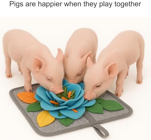 Pig Snuffle Mat and Snuffle Ball for Pigs – Pig Enrichment Toys for Mini Pigs, Potbellied Pigs & Farm Use – Interactive Foraging & Rooting Toy, Slow Feeding Pig Toys Accessories