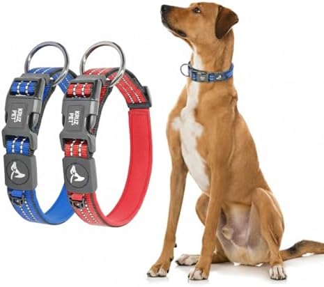 Dog Collar Bundle | Includes Red, Medium (Width- 3/4", Length - 17"-21.5") & Blue, Small (Width- 5/8", Length - 15"-17") | Padded Dog Collars with O-Ring | Soft & Comfortable Fit for Dogs