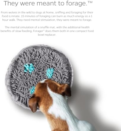 Pet Parents Forager Bowls, Slow Feeder Dog & Cat Bowls with SoftSnout™ & Non-Slip Backing, Portable Pet Puzzle Toys & Snuffle Mats, 30 oz, Modern Grey (Meadow Ponds)