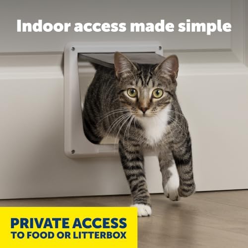 PetSafe Interior Cat Door, 4-Way Lock, White, Cats up to 15 lb | High-Impact Frame with Transparent Flap, Fits Interior Doors, Hardware and Template Included