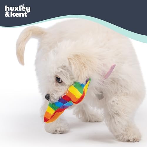 Huxley & Kent Tiny Tuff Plush Dog Toy, Equality Bone