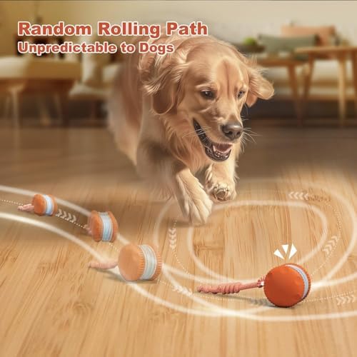 Interactive Dog Ball,Random Path Electric Moving Dogs Toy with Rope | Motion-Activated Automatic Rolling Interactive Dog Toy, USB-C Charging, 2 Speeds, For Small/Medium/Large Dogs.