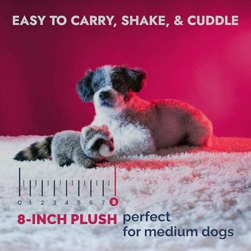 Pet Lou Raccoon Plush Dog Chew Ultra-Thick Toy, Durable Interactive Plush Toy for Medium Dogs, Anti Boredom Dog Squeaky Teething Toys, 8-Inch