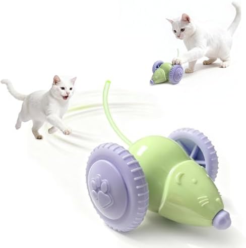 Interactive Cat Toys for Indoor Cats,Automatic Moving Kitten Toys,Cat Balls