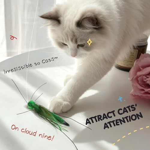 SONGWAY Cat Toy Wand Attachments - 6 Pieces Realistic Cat Bug Toy, Cat Feather Toy Refills, Interactive Flying Bug Dragonfly Cat Toys for Indoor Cats Kittens
