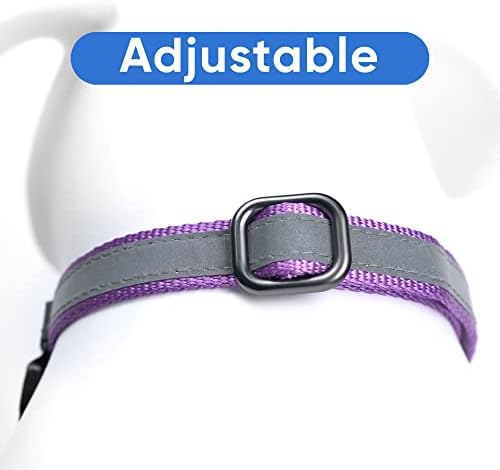 Pawtitas Personalized Dog Collar Martingale Dog Collar with Name Phone Number Reflective Martingale Dog Collar Customized Collar for Large Dogs | Orchid Custom Dog Collars for Large Dogs