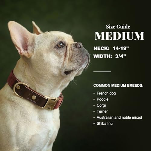 Personalized PU Leather Dog Collars,Quick Release Buckle,Brown,M