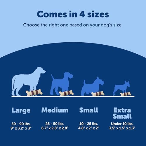 PetSafe Busy Buddy Bristle Bone, Large, Helps Keep Your Dog's Teeth Clean, Long-Lasting Playtime