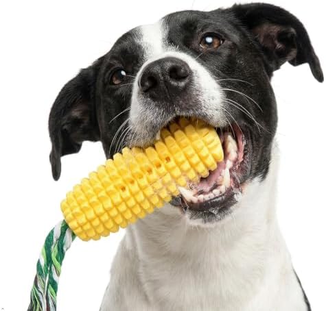 Carllg Dog Chew Toys for Aggressive Chewers, Indestructible Tough Dog Toys