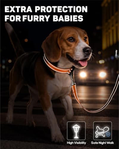 Padded Dog Collar with Waterproof Holder Compatible with Airtag