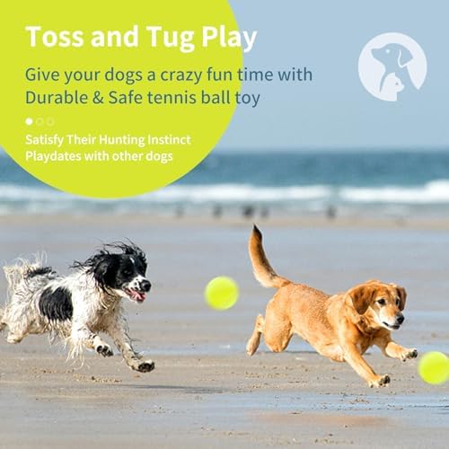 susu & wuwu Large Tennis Ball for Dogs 4 Inch Big Tennis Ball for Dog,Outdoor Play Toy for Small, Medium,Large Dogs Pet Birthday Gift (2 Pack)