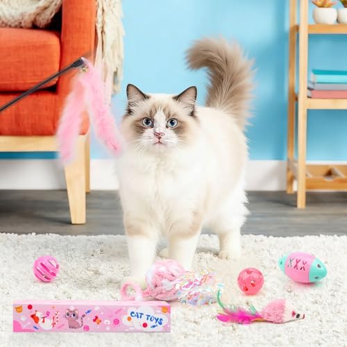 QUOZUO Pink Cat Toy Kitten Toys Set, Hanging Interactive Kitten Toys Wand Springs Mice Crinkle Balls and Pet Bell Balls Toys for Indoor Cats, 12Pcs Gift Box Styles (Pink)