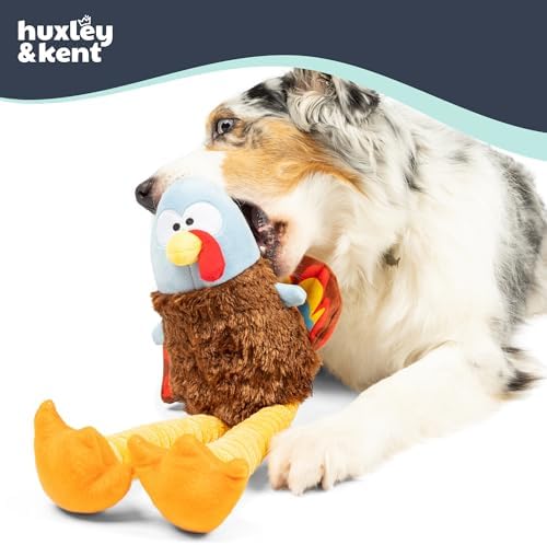 Huxley & Kent Funny Dog Toy w/Squeaker – Halloween Power Plush Squeaky Dog Toys for Small, Medium & Large Dogs – Soft Stuffed Animal for Indoor Play & Fetch - Lankies Feathertail Turkey, Large
