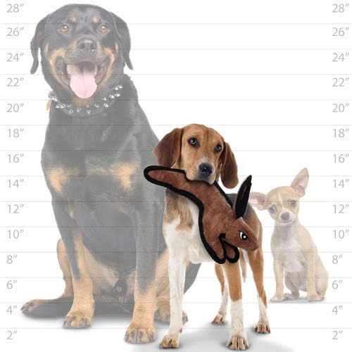 TUFFY® - DuraForce® 2 Pack Rabbit and Boomerang Plush Dog Toys