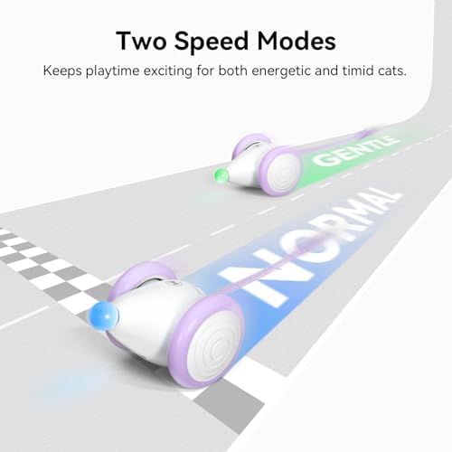 Interactive Cat Toys for Indoor Cats - Automatic Moving Kitten Toys, Wicked Mouse Neo Cat Toy with Tail & Lights, Pet Cat Supplies, Rechargeable Cat Toys for Bored Indoor Adult Cats, Purple