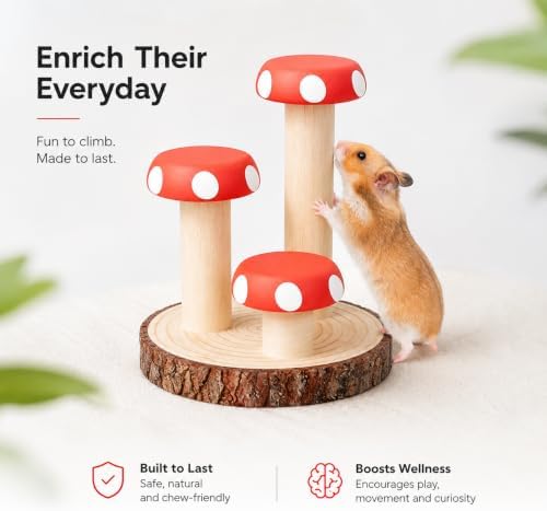 Hamster Climbing Toy Wooden for Chew, Enrichment Cage Accessory