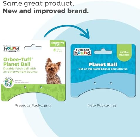 Outward Hound by Planet Dog Orbee-Tuff Planet Ball Blue/Green Treat-Dispensing Dog Toy, Small