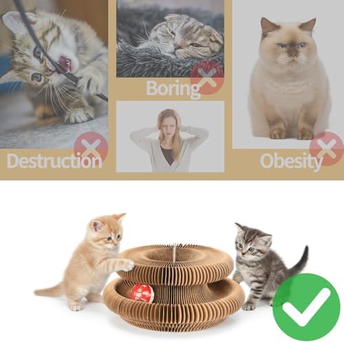 Interactive Cat Toy & Cardboard Cat Scratcher, Paw-Style Ball Track