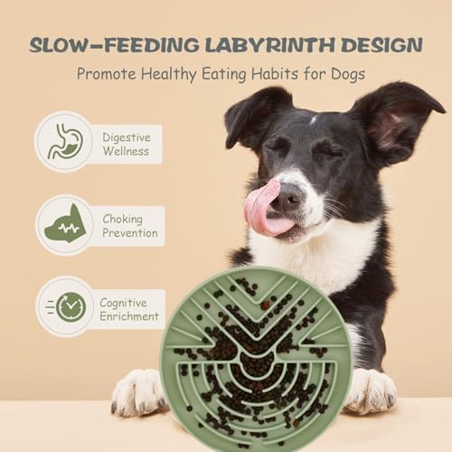 Lesipee Slow Feeder Dog Bowl for Large & Small Pets, Anti Choking Puzzle Dog Food Bowl with Non-Slip Base, Interactive Pet Slow Eating, Silicone Cat Feeder for Puppies & Cats(Grey Green)