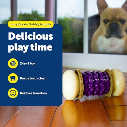 PetSafe Busy Buddy Nobbly Nubbly Treat Holding Dog Chew Toy, Large
