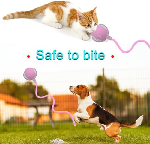 Interactive Cat Dog Toy Ball with LED Light, Automatic Rolling(Pink)