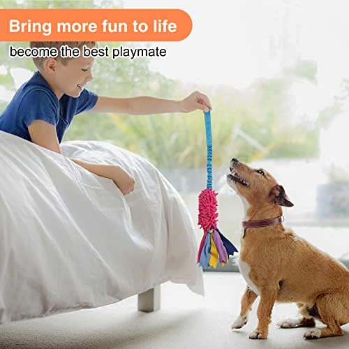 wodoca Dog Tug Toy - Aggressive Chewer Rope Toy with Strong Squeak
