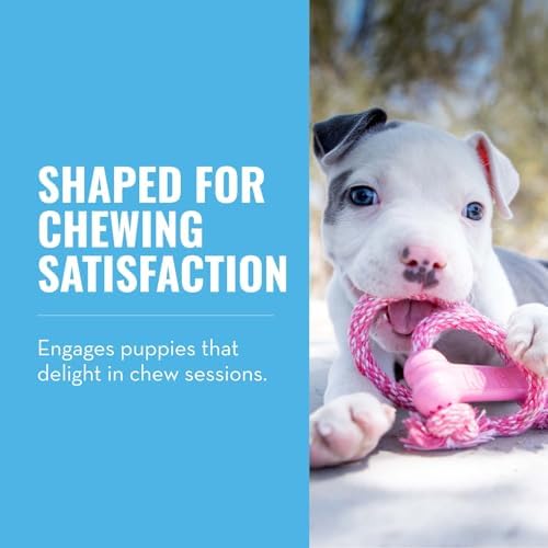KONG Puppy Goodie Bone with Rope, Natural Rubber, for XS Puppies, Pink