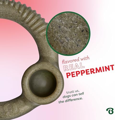 Benebone Ring Dog Chew Toy for Aggressive Chewers, Peppermint, Large