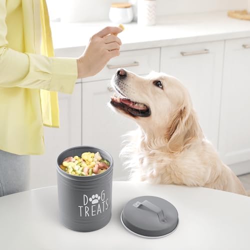 OUTNILI Small Dog Treat Container Airtight - 6" Tall X 4.9" Round Gray Dog Treat Jar for Kitchen Counter - Rustic Treat Storage Canister for Dogs, Cats, Small Animals - Gifts for Pet Owners