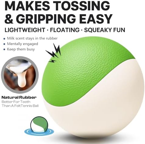 Squeaky Dog Toy – Durable Rubber Dog Ball for Medium & Large Dogs, Tough Interactive Fetch Toy for Chewers, Outdoor Training & Play Ball, Floating Water Play Gift.Green White