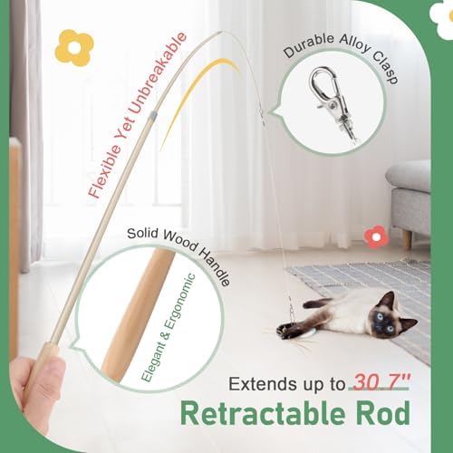 SONGWAY Cat Bug Toy Wand - Insect Interactive Cat Toys with Retractable Teaser Wand and 4 Pcs Bug Toy Feather Replacements for Cats Kittens