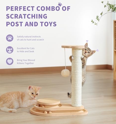 Made4Pets Kitten Toy Scratching Post for Indoor Cats with Ball Track